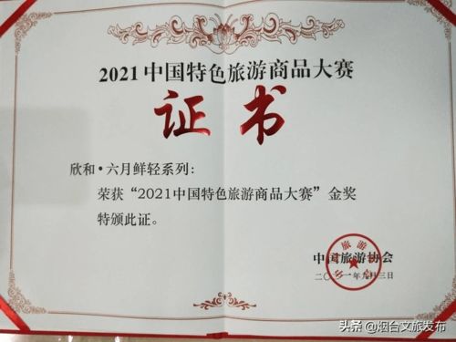 第三屆山東省文化和旅游商品創(chuàng)新設(shè)計(jì)大賽煙臺獲佳績 1金2銀2銅閃耀賽場，助推文化藝術(shù)交流創(chuàng)新
